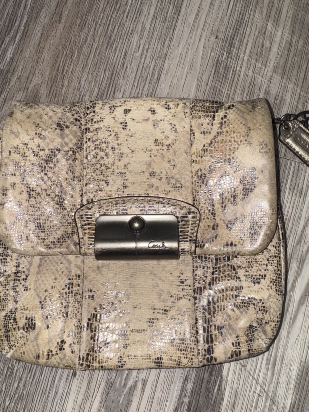 COACH Kristin Python Embossed Leather Clutch Pouch Y2K 2010s Vintage Style